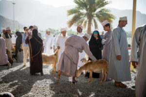 Nizwa cattle souq for friday