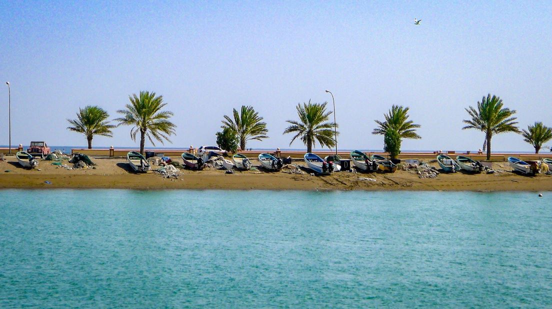 Tour Operator In Oman
